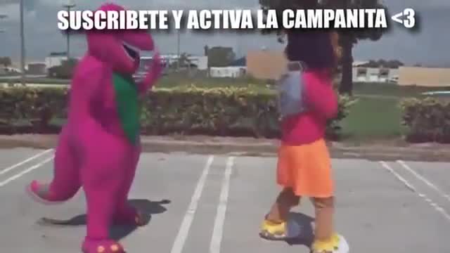 Muy comico animales haciendo de las suyas