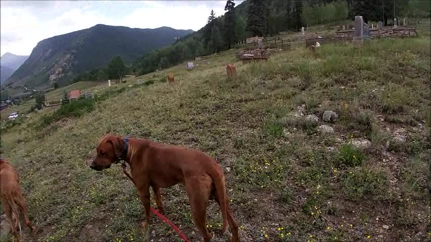 San Juan Hillside Cemetery Silverton Colorado July 20, 2021 Part 2