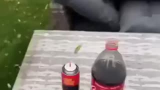 Coke bottle fun