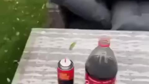 Coke bottle fun