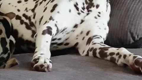 Caught in the act!