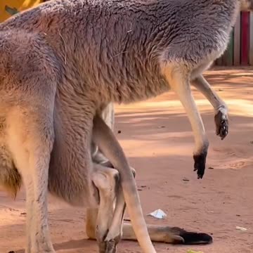 We all have those days