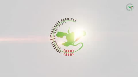 Oduu Waaree ONM-ABO Amajjii 19, 2024