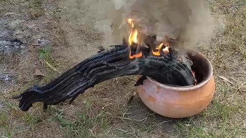 Indian experiment 🔥🧨