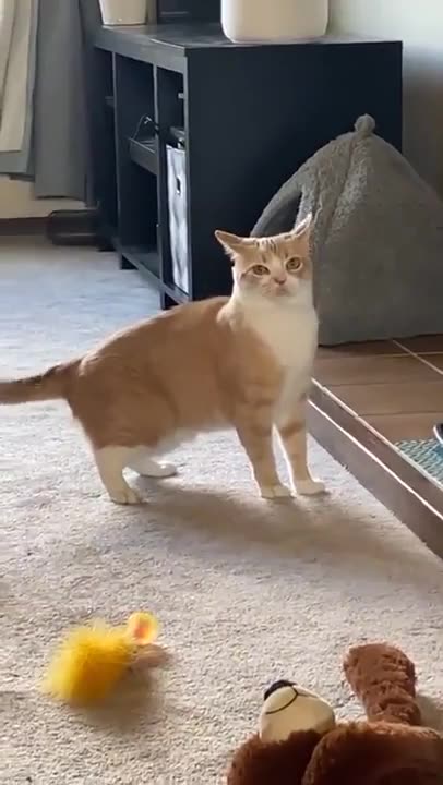 Not cool bruh. Not cool at all 😂😂😂😂