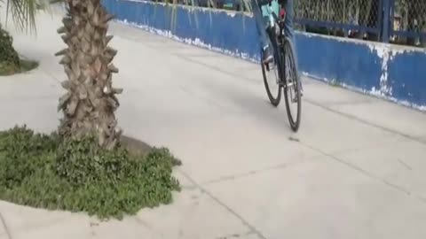 Awesome creative ideas by s.m