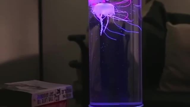 Glowing jellyfish in a jar