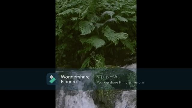 Dense Green Vegetation On A Body Of Rocks Vomiting Water