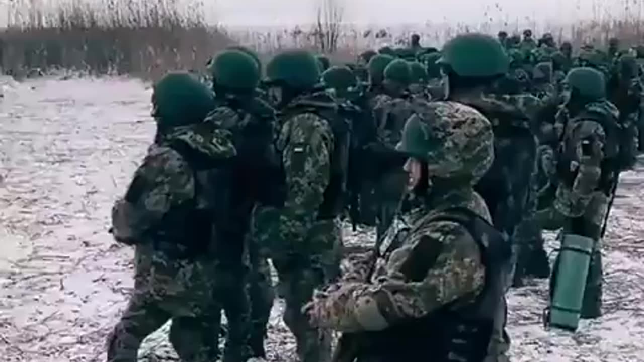 Ukrainian Reservists at the outskirts of Avdeevka (ca. 2024/02/10)