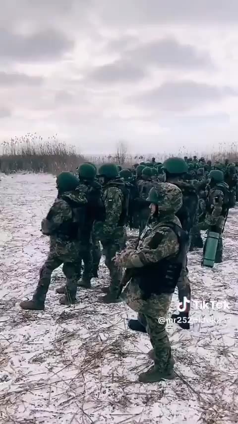 Ukrainian Reservists at the outskirts of Avdeevka (ca. 2024/02/10)