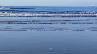 Do you wanna see the sea?