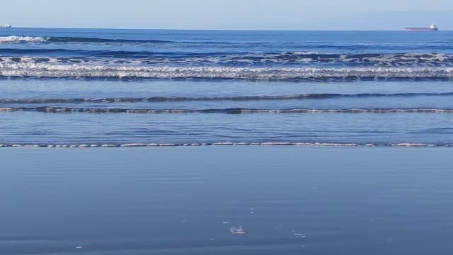 Do you wanna see the sea?