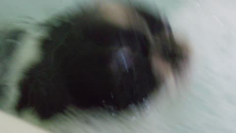 P0000075