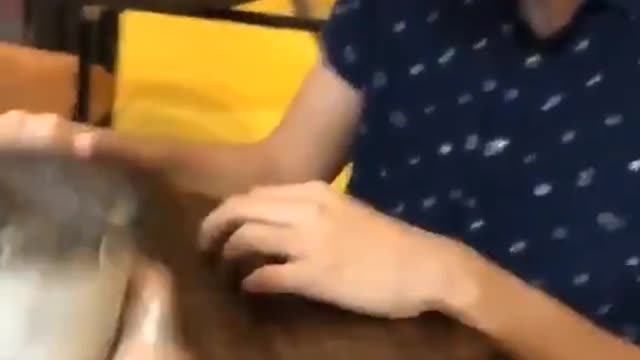 Smash smash 😂😂