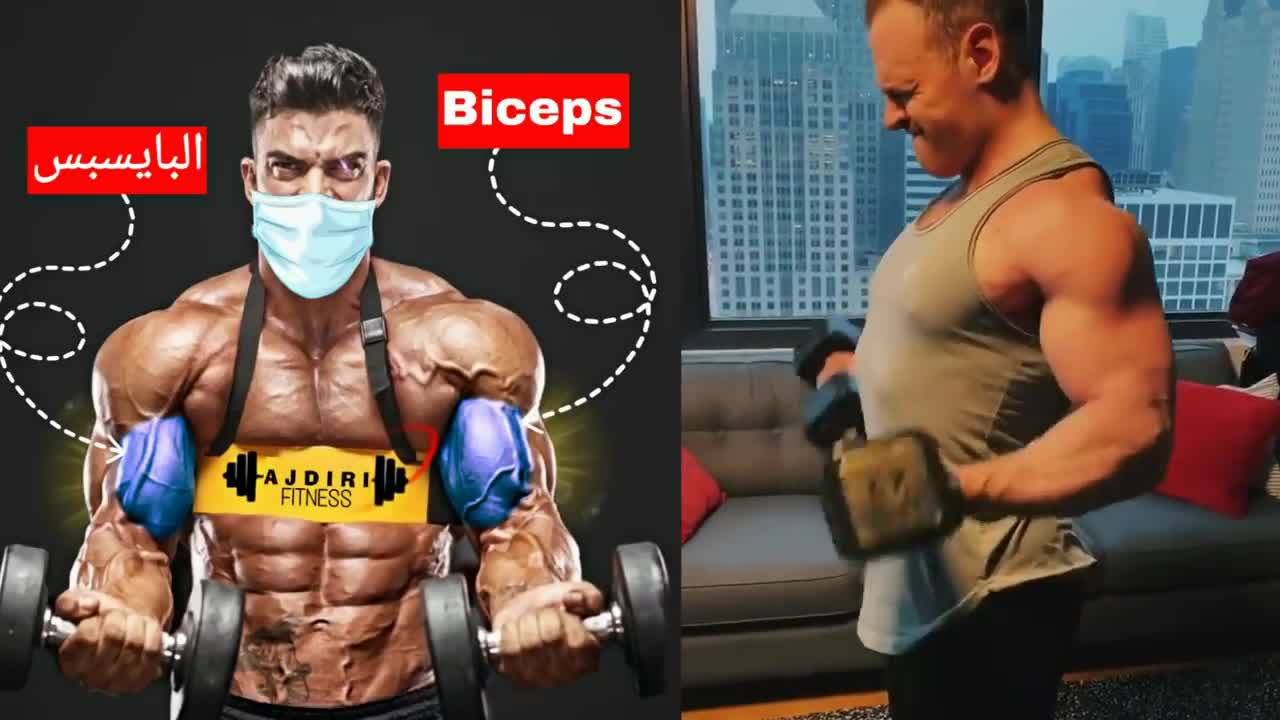 تمارين البايسبس في البيت بالدمبلز فقط (جدول تدريبي) - Dumbbell Biceps