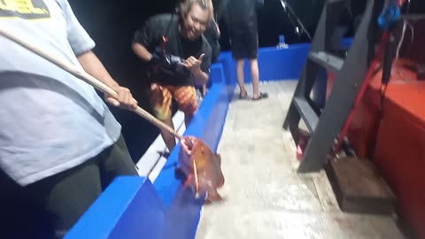 blonde man strike fishing on boat