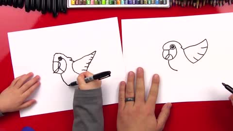 HowToDrawACartoonParrotp8