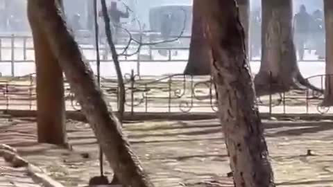 Russians are shooting at Ukrainians who went out to protest against occupation.