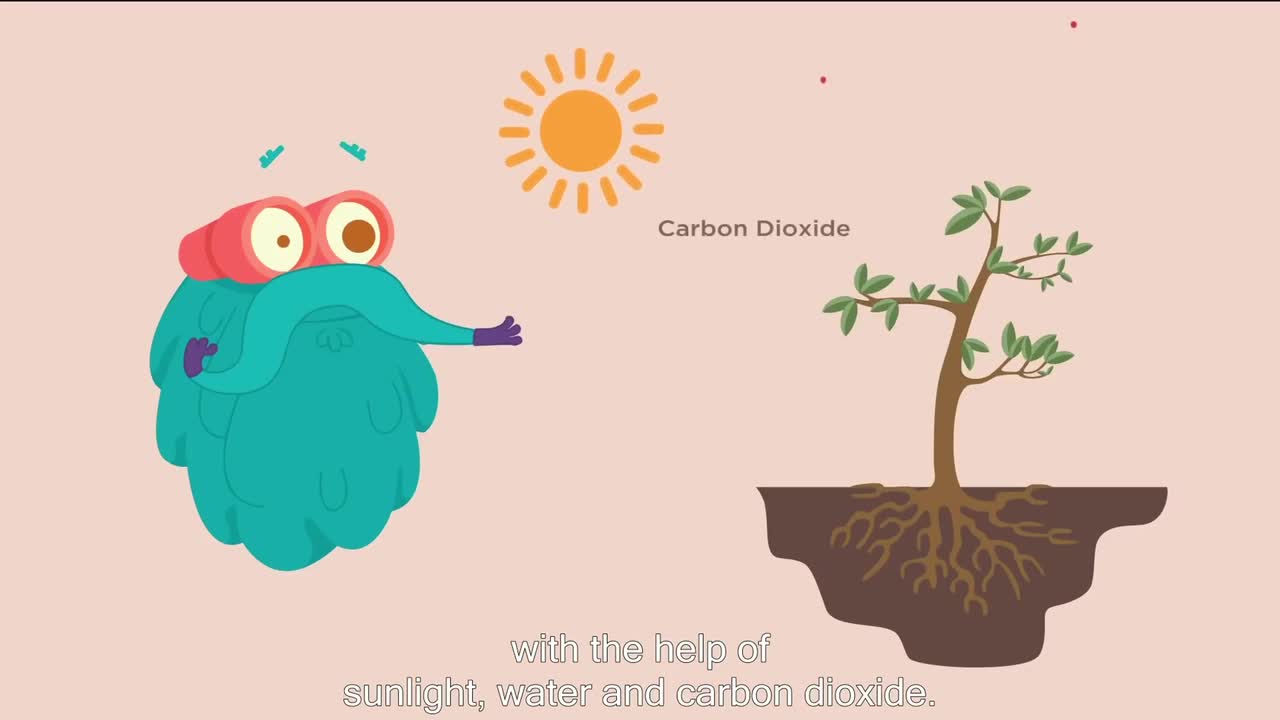 Plants use light, carbon dioxide, water, for photosynthesis, to give us oxygen