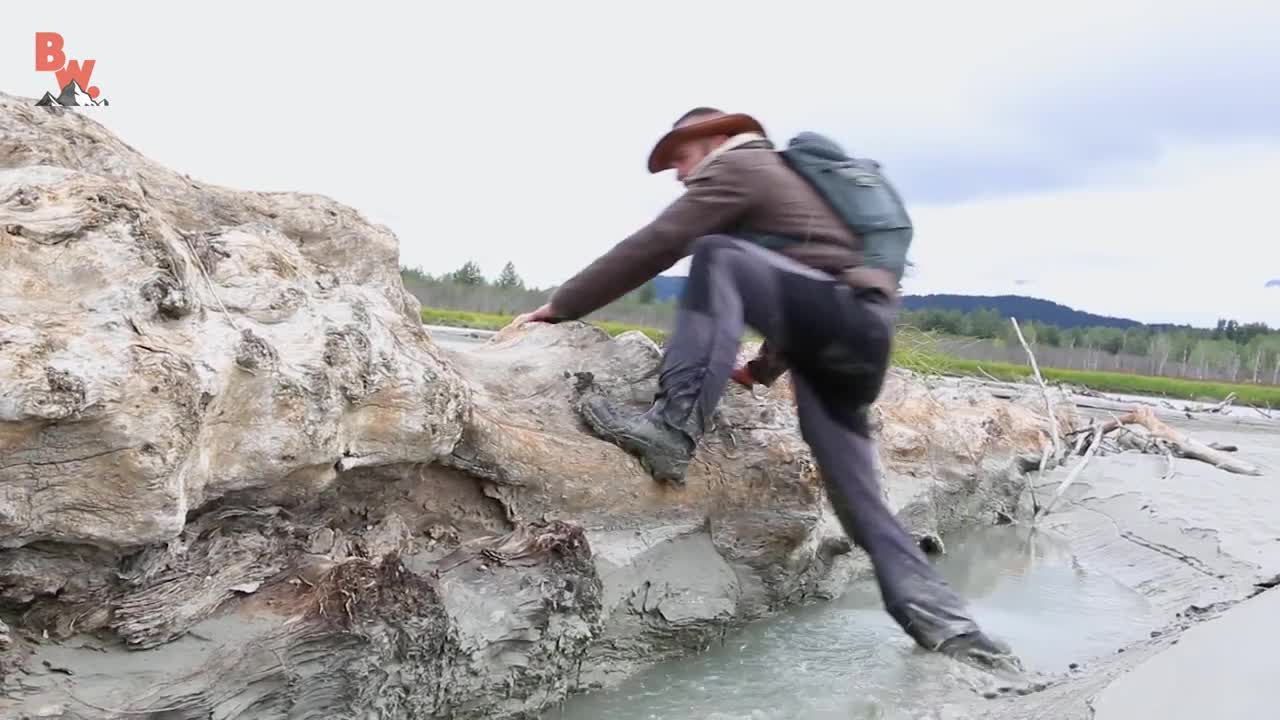 Bald Eagle Adventure