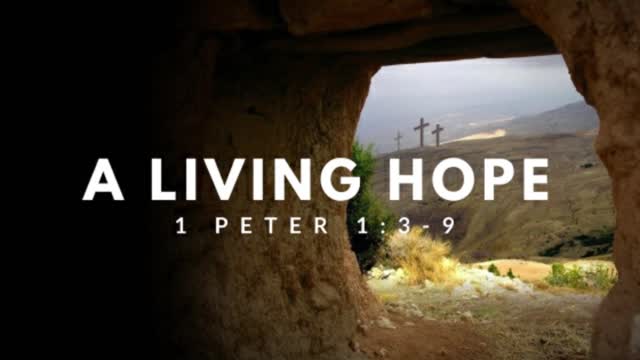 'Dedicated2Jesus' Daily Devotional -- 1 Peter 1.3-9 "Dealing With Persecution"