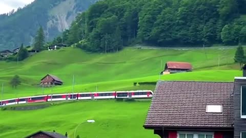 Beautiful nature