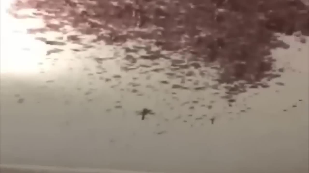 funny meme 05