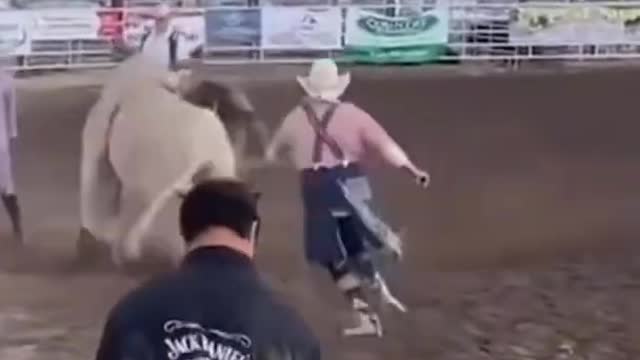 funny cute dogs 🐶 and cats 🐱 part 6