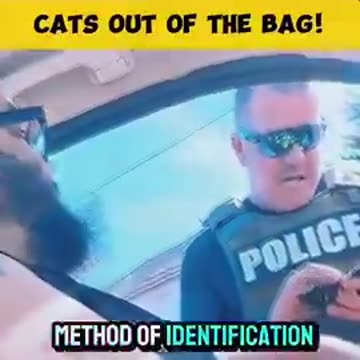 Cat & owner confuse traffic cop