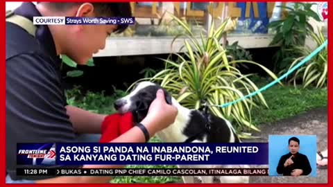 Asong si Panda, reunited sa kaniyang amo는