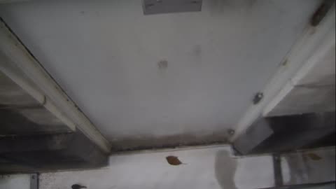 0921USCG00HT18Exterior_2021-01-06_16h00min01s993ms.mp4