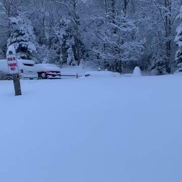 Bulldog struggles to run through the very deep snow