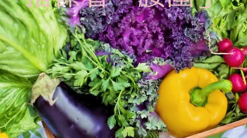 代謝症候群 指標看「腰圍