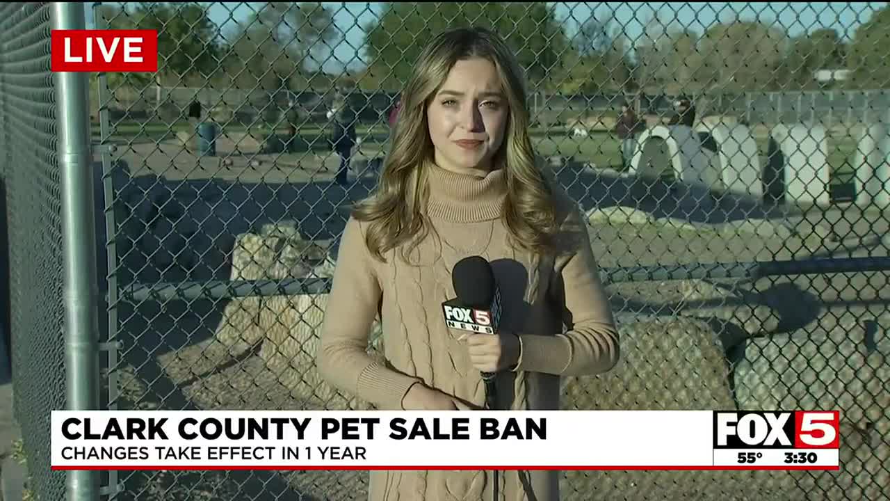 How Clark County pet store ban impacts Las Vegas-area breeders