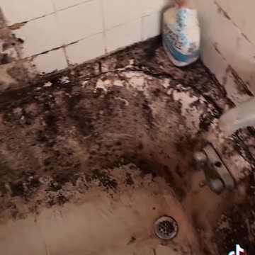 Advanced Stage Cat Crazy