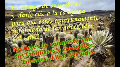 Capítulo 7 - La realidad de la Iglesia (1/7)