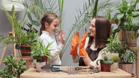 Teaching your kids to live a sustainable life