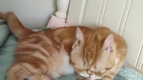 Oh, crap. We got caught