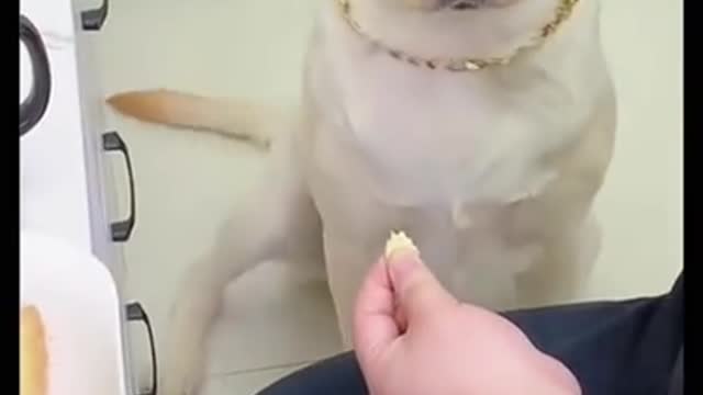 So funny