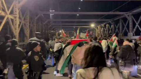 Anti-Israel protesters in New York claim Israel is a terrorist state