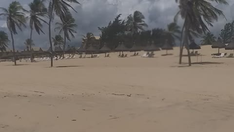 Buggy adventure on the beaches of Ceará Brazil