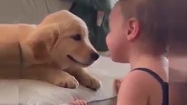 Funny funny biby vs dog