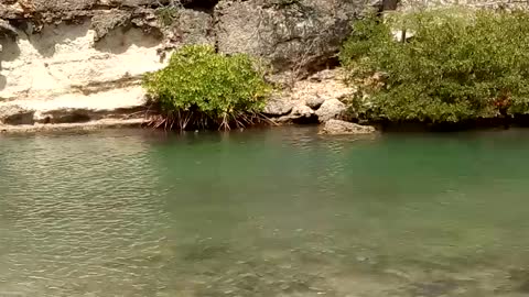 Playa Santa Cruz Curacao
