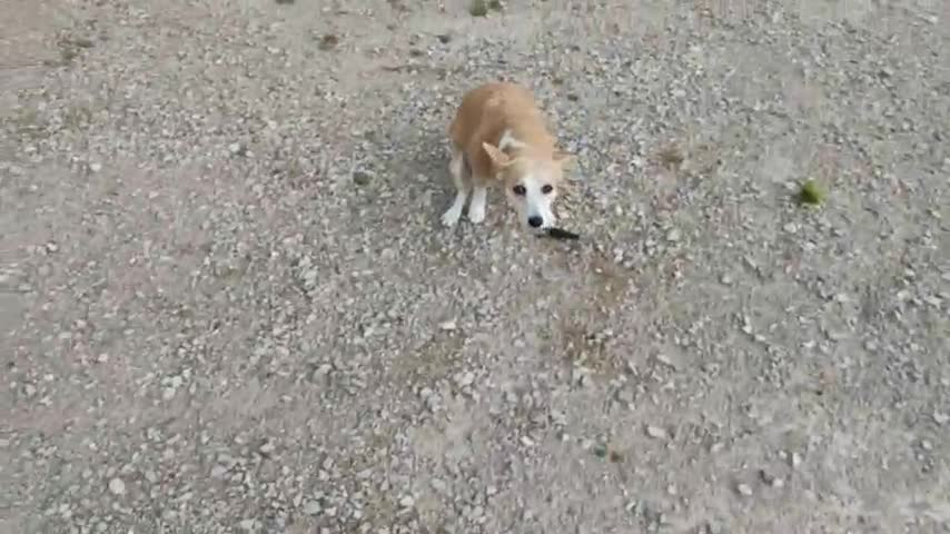 2022-08-23 (4) - R - Twitch Decheterie