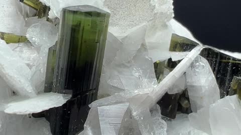 Most Beautiful Green Cap Tourmaline with Albite Specimen