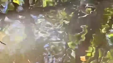 Enjoying nature