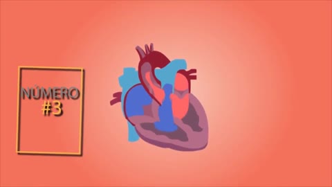 10 Curiosities about the HEART