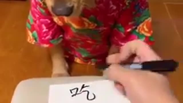 Let me teach him