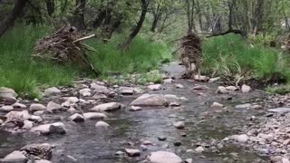 Running creek under an overpass in Arizona