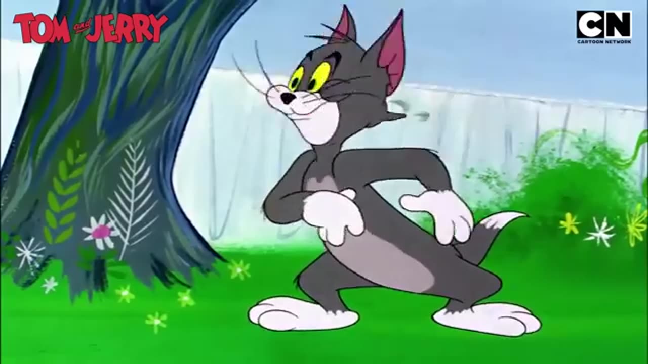 Tom&Jerry funny